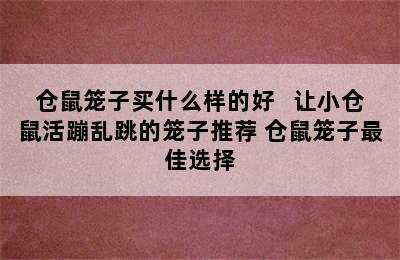 仓鼠笼子买什么样的好   让小仓鼠活蹦乱跳的笼子推荐 仓鼠笼子最佳选择